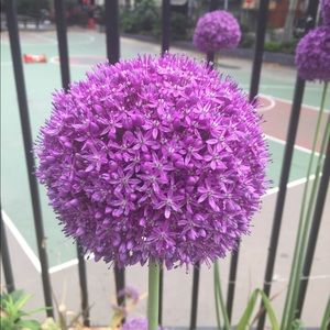 Meet your Posher, Moy